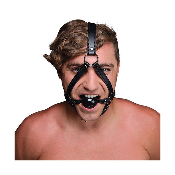 HEAD HARNESS HEAD HARNESS