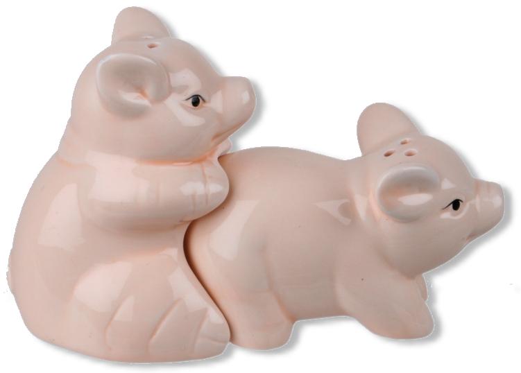 SALE E PEPE PORCELLINI SALE E PEPE PORCELLINI